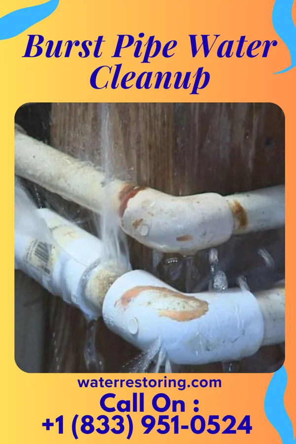 Burst Pipe Water Cleanup in Western, NE
